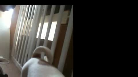 Snapshot of 10mm_socket chatting on February 11, 6:07 am 10mm_socket online show from February 11, 6:07 am