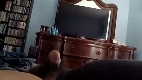 12345marihtc online show from October 20, 12:33 am