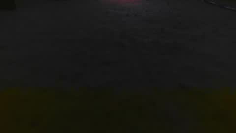 1337assman1337 online show from November 25, 8:25 am