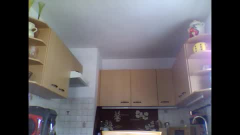 20x5cmgermanlongdong online show from March 11, 9:02 am