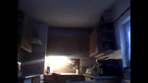 20x5cmgermanlongdong online show from January 17, 7:13 am