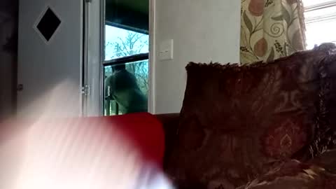 BlacJewels online show from February 22, 4:16 pm