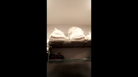 Str8 Edge online show from December 21, 12:23 pm