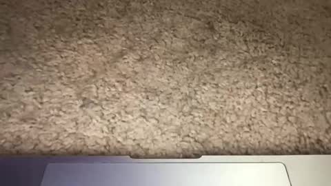 Snapshot of 3dging_sub chatting on March 13, 3:24 am 3dging_sub online show from March 13, 3:24 am