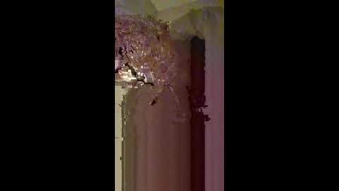 Snapshot of 60zeus60 chatting on February 22, 3:40 am Zeus online show from February 22, 3:40 am