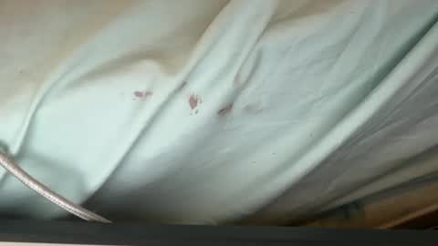 FUCKR online show from September 12, 8:14 am