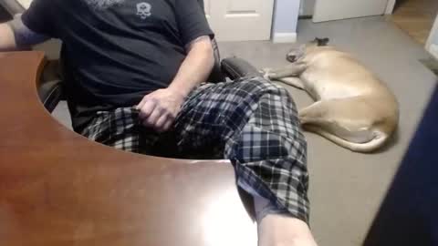 MASTIFF online show from December 21, 7:32 pm