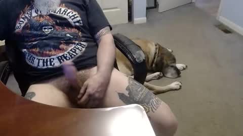 MASTIFF online show from May 12, 12:41 am