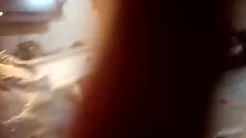 7lairddip online show from October 6, 3:59 am