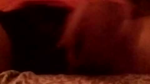 8inchhardbr online show from February 23, 3:59 am