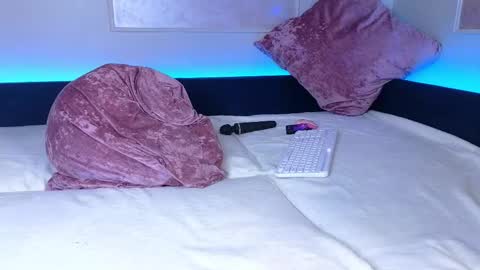 Willow online show from February 11, 12:16 pm