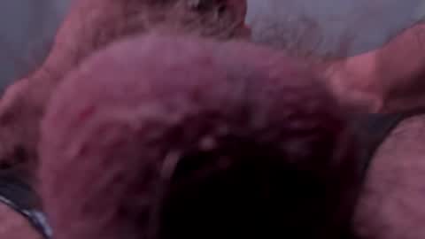 _adamcoper_ online show from October 25, 3:40 pm