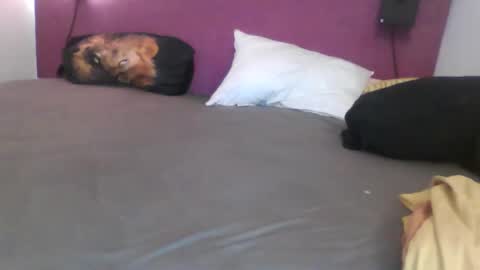 _bertl_ online show from October 25, 8:36 pm