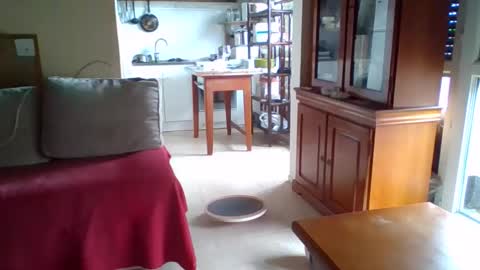 Snapshot of _bubble_buttfunxxx chatting on October 11, 9:41 am _bubble_buttfunxxx online show from October 11, 9:41 am