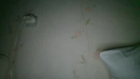 Snapshot of _eloizi_dev chatting on March 29, 2:11 am Eloiz online show from March 29, 2:11 am