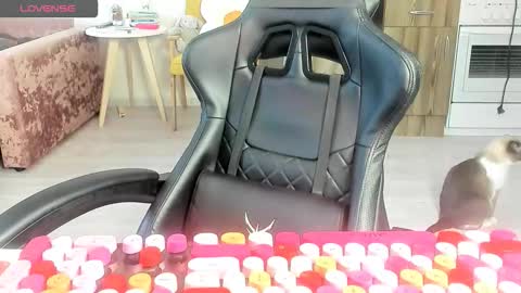 Alis online show from March 10, 6:29 am