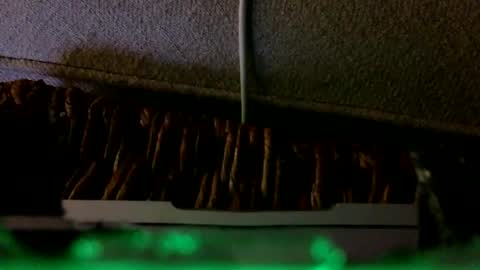 Rex online show from February 6, 2:27 am