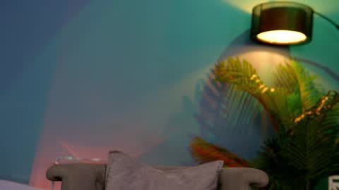 FANSLY ---   anal in private 700 tokens online show from February 15, 10:21 pm