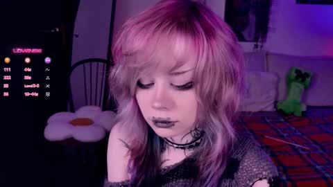 Lolly online show from November 7, 10:37 am