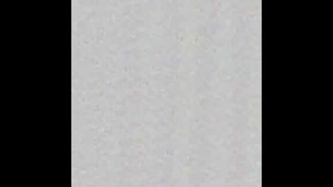 _maccaa_ online show from November 12, 12:05 pm