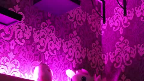 Snapshot of _made_in_hell_ chatting on February 23, 11:47 pm Stream at am in MoscowI am waiting for you very much3 online show from February 23, 11:47 pm