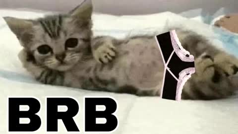 miko3 online show from December 3, 11:25 pm