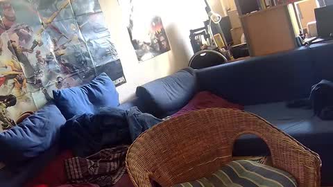 Snapshot of _svenerd87___ chatting on October 3, 11:07 am Sven online show from October 3, 11:07 am