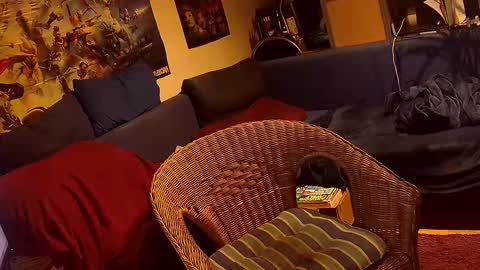 Snapshot of _svenerd87___ chatting on November 3, 5:36 pm Sven online show from November 3, 5:36 pm