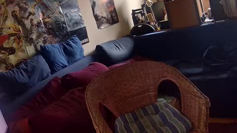 Snapshot of _svenerd87___ chatting on November 9, 12:58 pm Sven online show from November 9, 12:58 pm