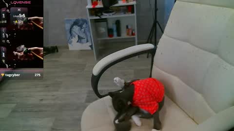 Milana   welcome to my world  online show from February 26, 7:53 am