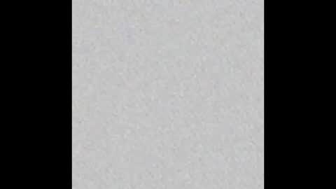 _tammarra_ online show from January 10, 12:29 pm