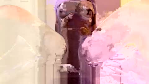 a787801 online show from March 17, 5:38 pm