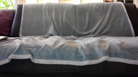 Snapshot of a_nice_dick_77 chatting on February 7, 10:08 am a_nice_dick_77 online show from February 7, 10:08 am