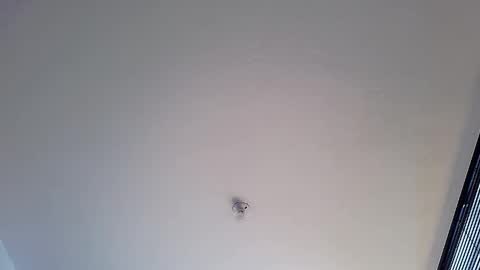 Martina online show from January 12, 1:48 pm