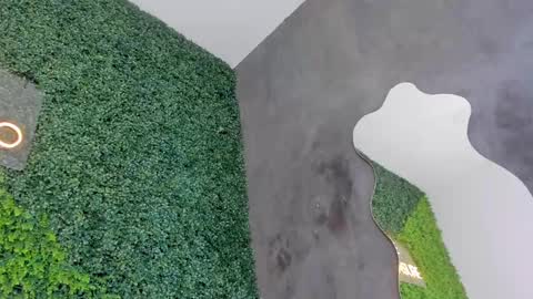 A B B Y online show from February 12, 6:19 pm