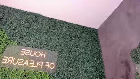 A B B Y online show from February 19, 12:11 pm