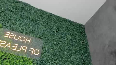 A B B Y online show from February 26, 6:21 pm