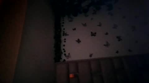 Snapshot of abby_moss_2 chatting on July 1, 12:51 pm abby_moss_2 online show from July 1, 12:51 pm
