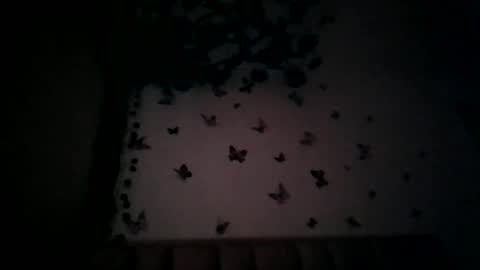 Snapshot of abby_moss_2 chatting on July 17, 12:45 pm abby_moss_2 online show from July 17, 12:45 pm