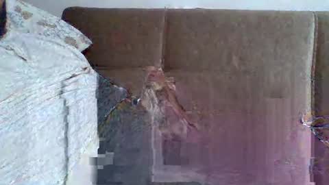 Snapshot of abdil_34 chatting on February 5, 9:18 pm abdil_34 online show from February 5, 9:18 pm