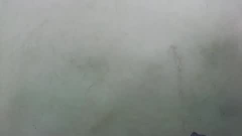 abella677022 online show from February 16, 8:16 pm