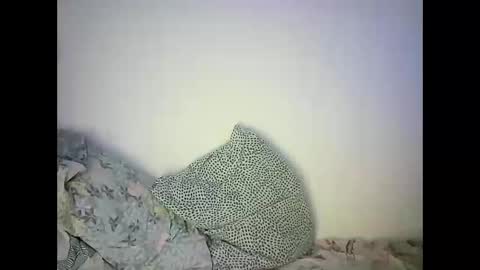 Snapshot of abigailove4u chatting on February 22, 11:46 pm GoldenFish online show from February 22, 11:46 pm