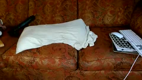 Snapshot of acacias2022 chatting on November 18, 7:07 pm aCACiAs2022 online show from November 18, 7:07 pm