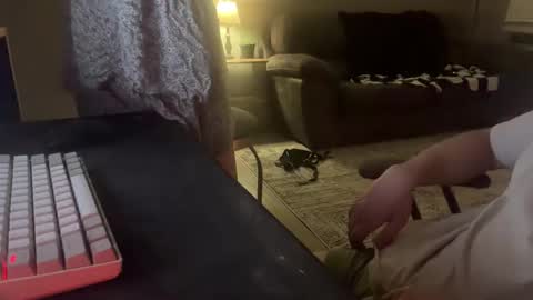 Remi and Ace online show from April 26, 3:37 am