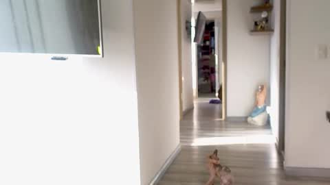 Snapshot of adan_eva960 chatting on September 10, 12:16 pm eva online show from September 10, 12:16 pm