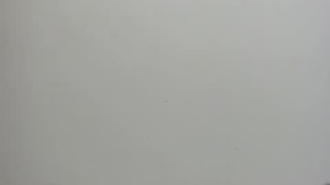 Snapshot of adbel_sady chatting on January 15, 11:10 am adbel sady online show from January 15, 11:10 am