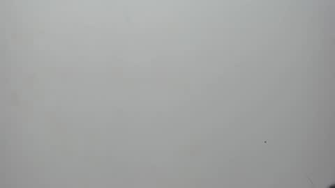 Snapshot of adbel_sady chatting on February 10, 11:15 am adbel sady online show from February 10, 11:15 am