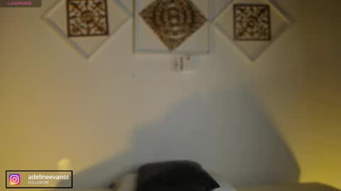 Snapshot of adelineevanss chatting on February 11, 4:22 am adeline online show from February 11, 4:22 am