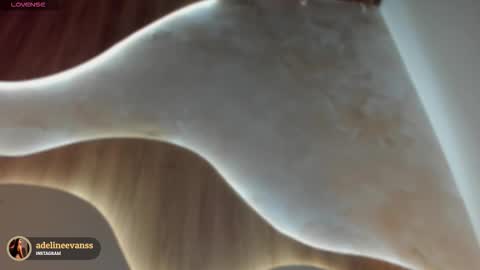 Snapshot of adelineevanss chatting on October 26, 4:46 pm adeline online show from October 26, 4:46 pm