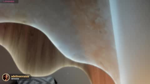 Snapshot of adelineevanss chatting on October 27, 8:02 pm adeline online show from October 27, 8:02 pm